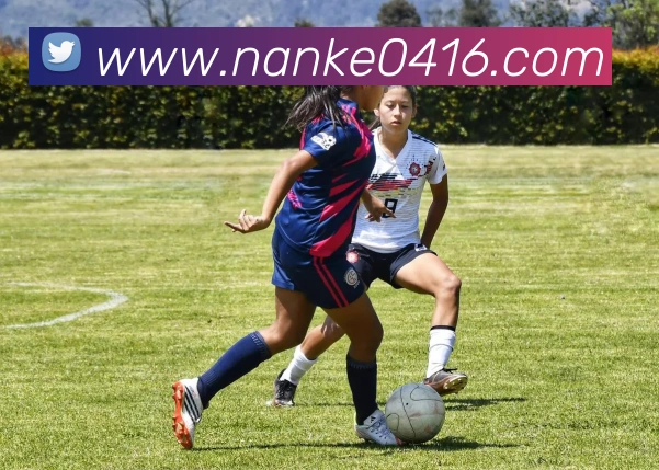 App Interface Preview